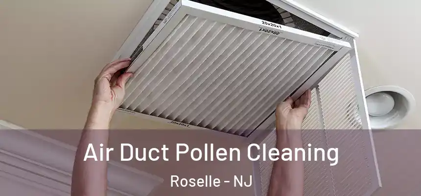  Air Duct Pollen Cleaning Roselle - NJ