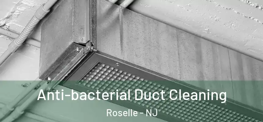  Anti-bacterial Duct Cleaning Roselle - NJ