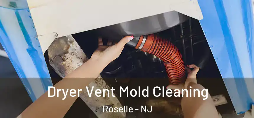  Dryer Vent Mold Cleaning Roselle - NJ