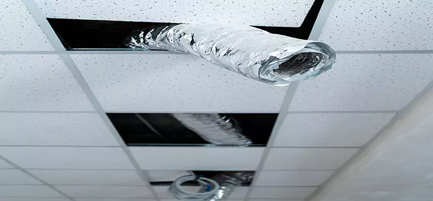 Our Air Duct Pet Hair Removal Services in Roselle, NJ