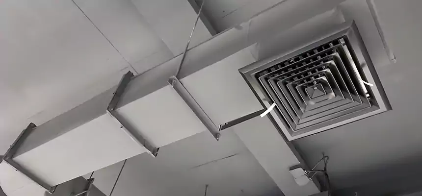 Our Pest Removal From Ducts Services in Roselle, NJ