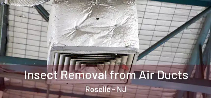  Insect Removal from Air Ducts Roselle - NJ