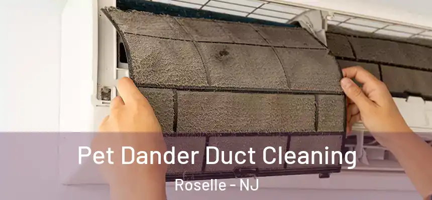  Pet Dander Duct Cleaning Roselle - NJ