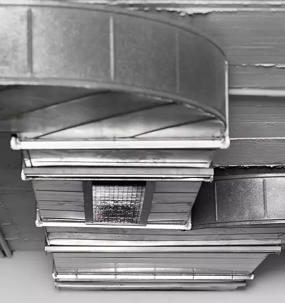 Professional Air Duct Pest Removal in Roselle, NJ