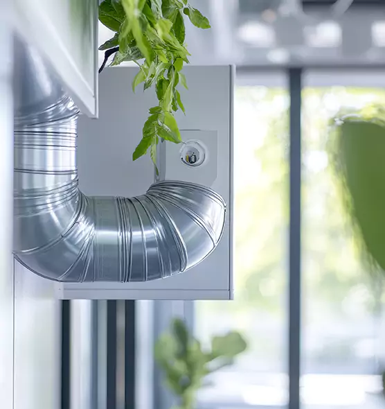 Professional Eco-Safe Dryer Vent Cleaning in Roselle, NJ