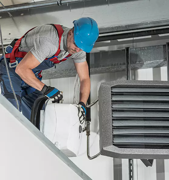 About HVAC Mold Remediation Service in Roselle, NJ
