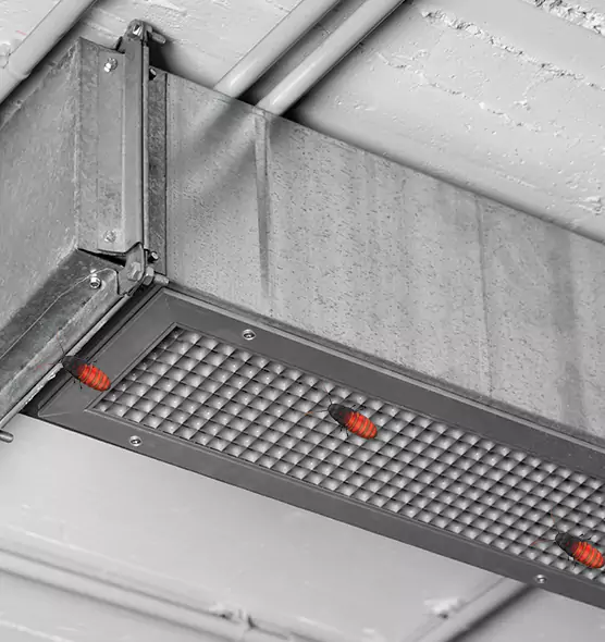 Affordable Insect Removal from Air Ducts in Roselle, NJ