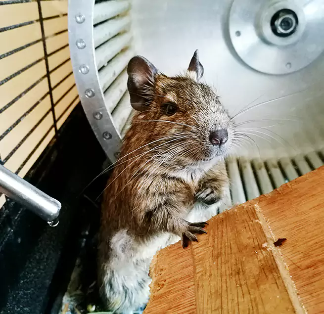 Why Homeowners & Businesses Trust Us Roselle, NJ