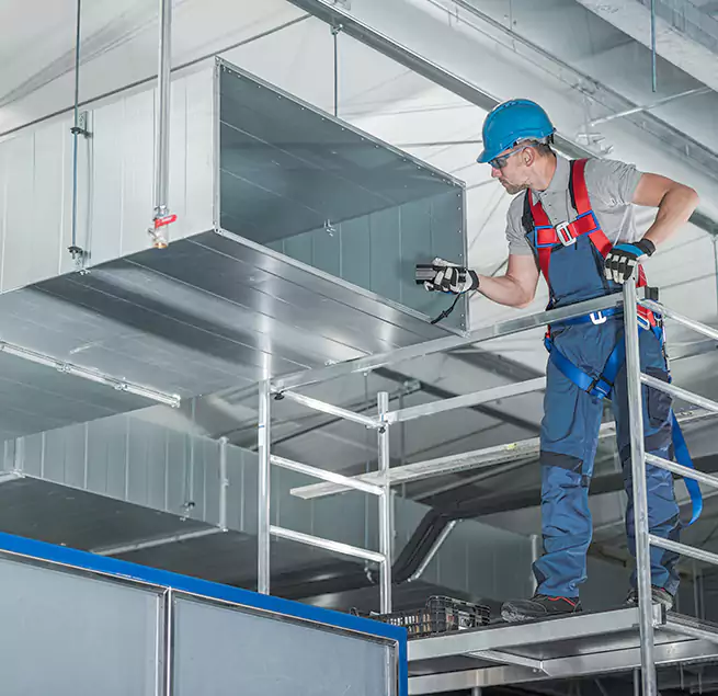 Why Homeowners & Businesses Trust Us in Roselle, NJ?