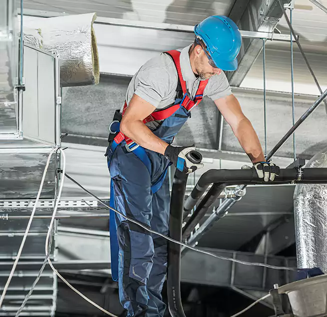 Why Homeowners & Businesses Trust Us in Roselle, NJ?