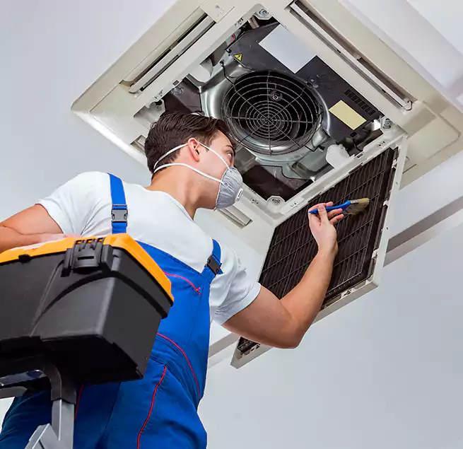 Why Homeowners & Businesses Trust Us in Roselle, NJ?