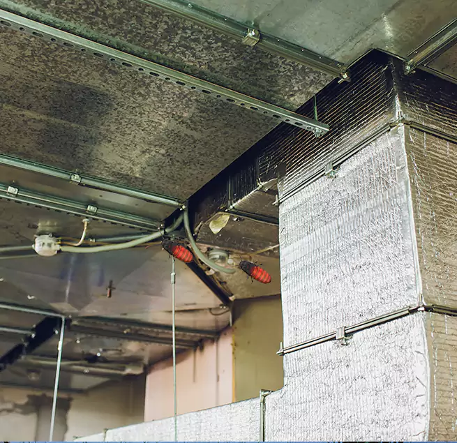 Why Homeowners & Businesses Trust Us Roselle, NJ?