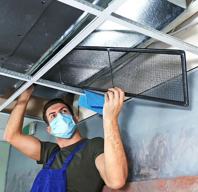 Why Homeowners & Businesses Trust Us in Roselle, NJ?