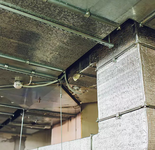 Why Homeowners & Businesses Trust Us in Roselle, NJ?