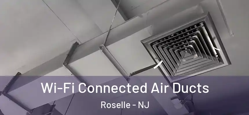  Wi-Fi Connected Air Ducts Roselle - NJ